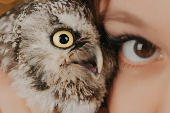 BoaBoa Kazino Atbalsts